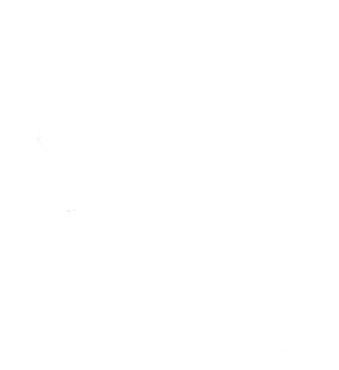 Previous